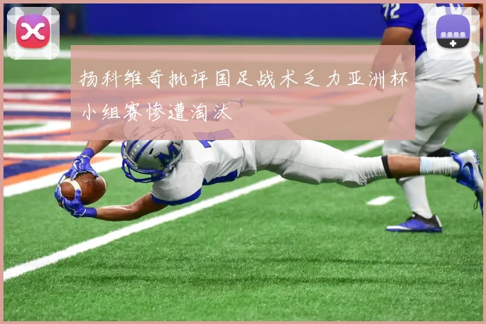 扬科维奇批评国足战术乏力亚洲杯小组赛惨遭淘汰