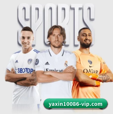 关于我们 - 体育资讯内容服务 - yaxin
